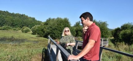 Réaménagé il y a deux ans, le ruisseau de Mazayes, à Saint-Pierre-le-Chastel retrouve doucement une vie sauvage