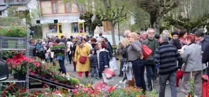 Petites Villes de Demain : des premières conclusions de l’étude Shop’In pour la redynamisation économique…