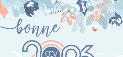 Meilleurs vœux 2026